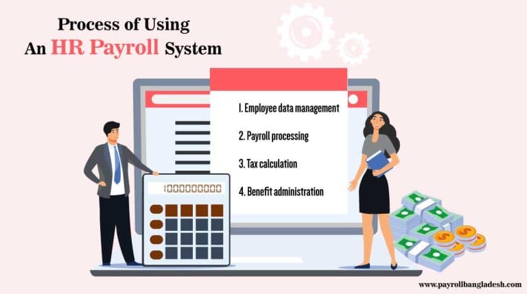 How to Choose the Right HR Payroll System for Your Company